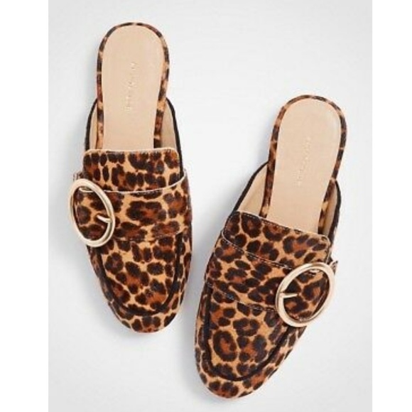 Ann Taylor Shoes - TAYLOR THALIA LEOPARD PRINT SLIDE